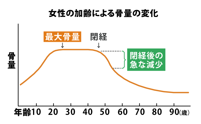 骨粗鬆症、女性の加齢による骨量の変化